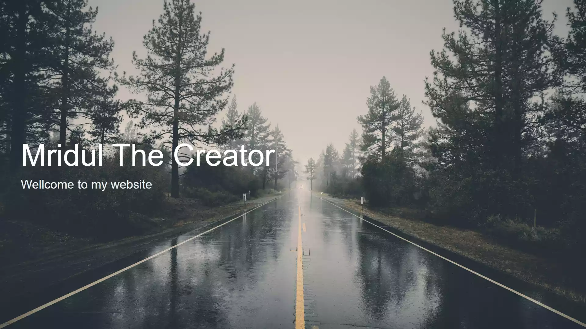 JavaScript Type Writer Effect using HTML, CSS and JavaScript