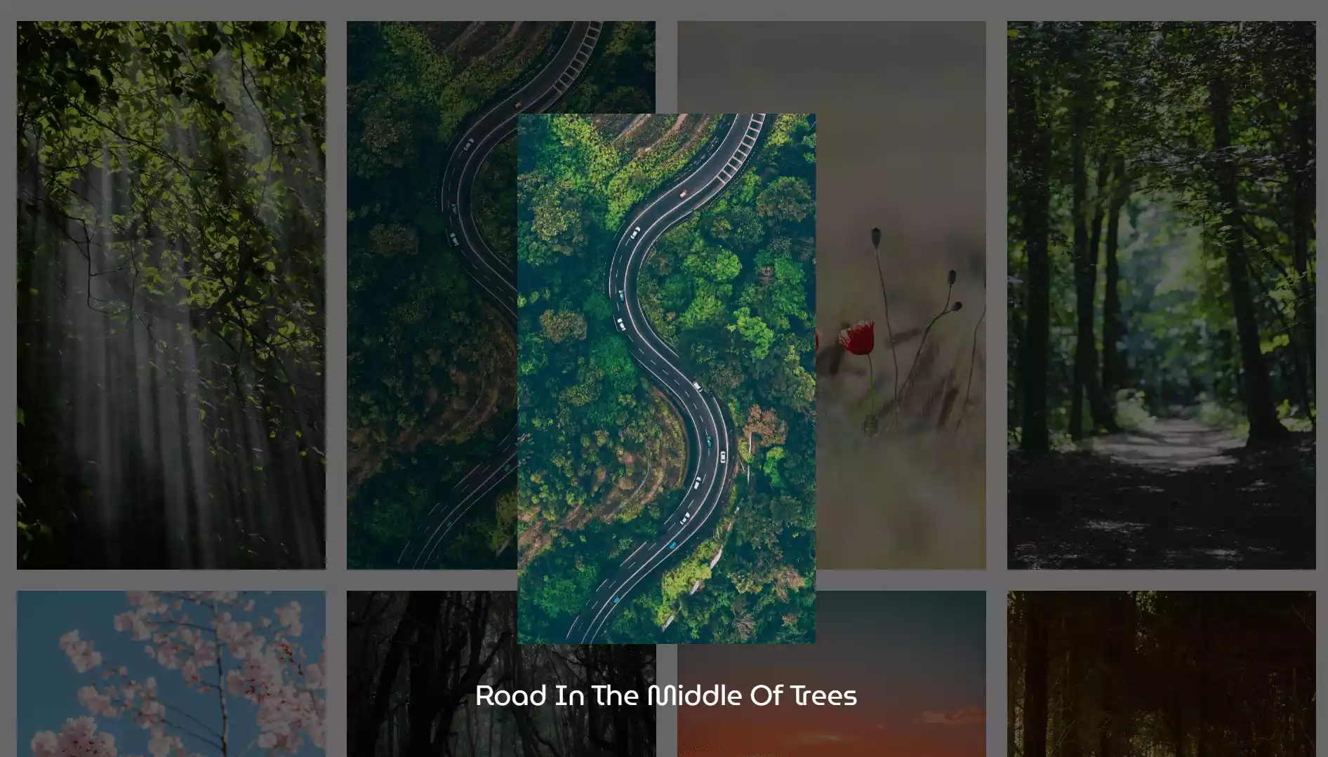 Fluid Image Pop Up using HTML, CSS and JavaScript