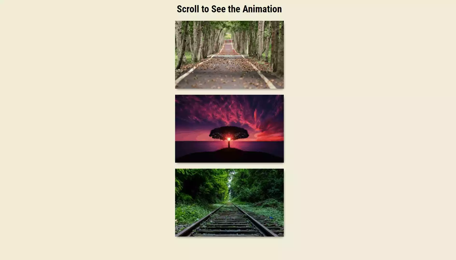 Scroll Animation using HTML, CSS and JavaScript